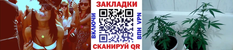 Сколько стоит Обнинск COCAIN Меф мяу мяу A-PVP Конопля ГАШ