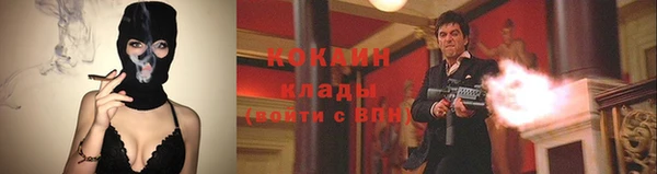 дмт Алзамай