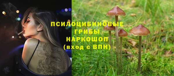дмт Алзамай