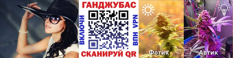 Конопля план  купить  цена  Обнинск 